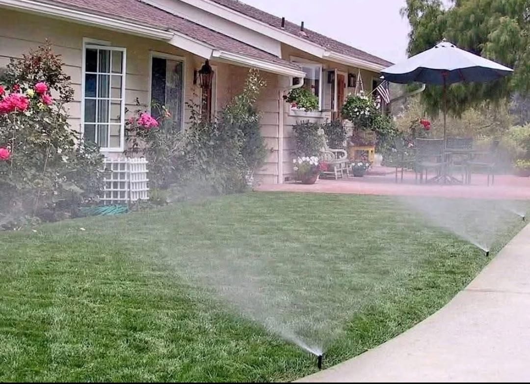Irrigation sprinklers installed in a lawn